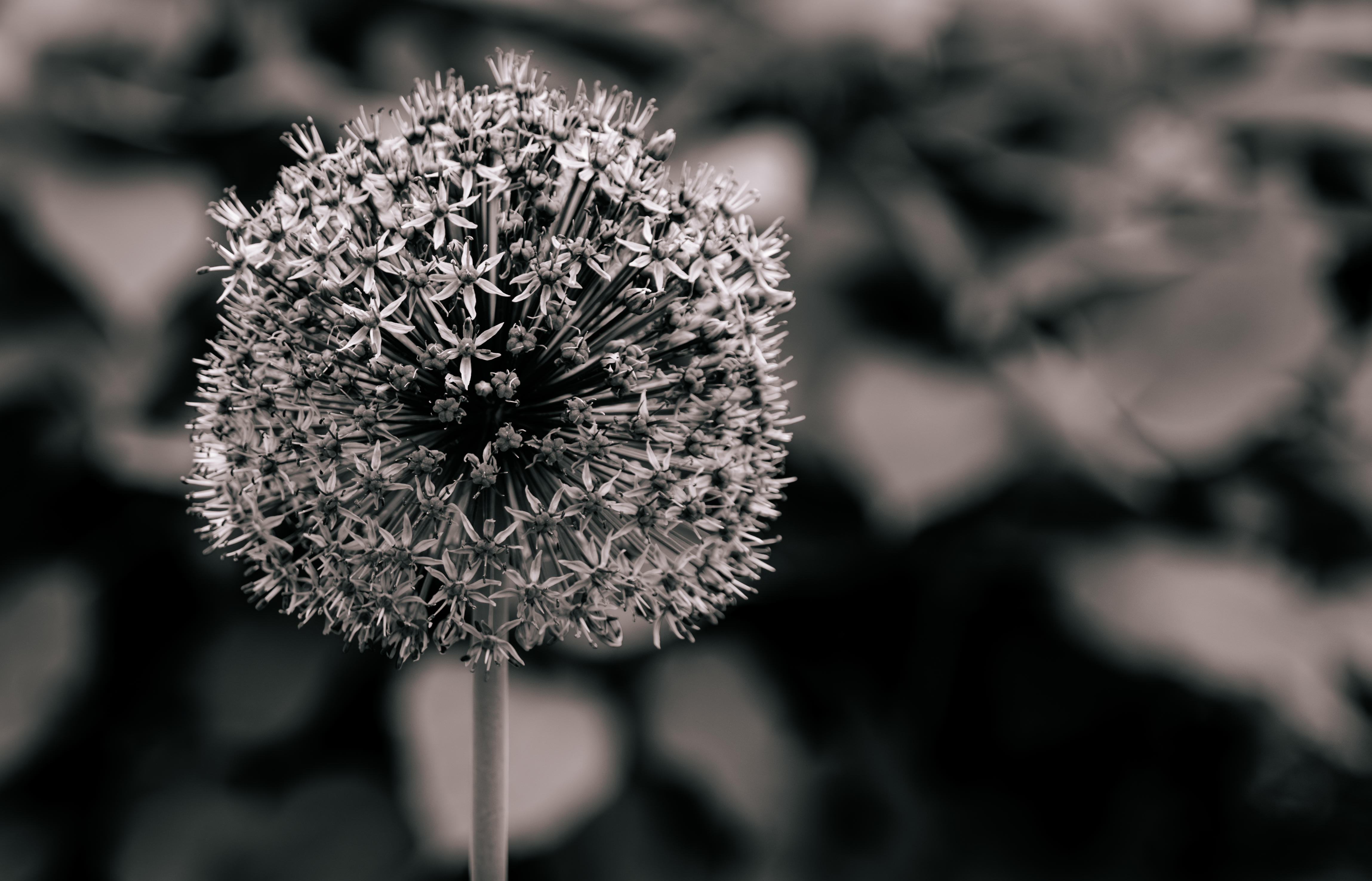 Everything At Once cover